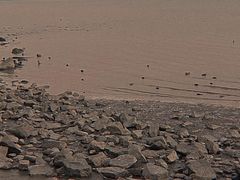 -深圳湾公园(南山区)