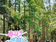 -同里国家湿地公园