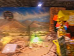 -正佳雨林生态植物园
