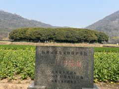 -八卦田遗址公园