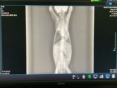 -百信宠物医院(东升街店)