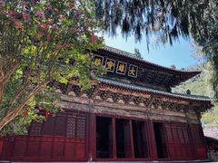 -报恩寺(平武县)