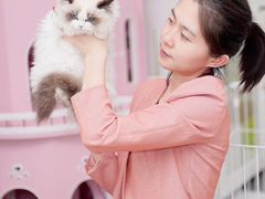 -青奢宠物·青奢猫舍