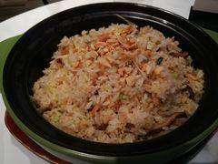 -MR鹅外