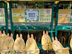 -海南热带野生动植物园