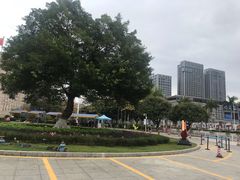 -增城图书馆(荔景大道辅路店)