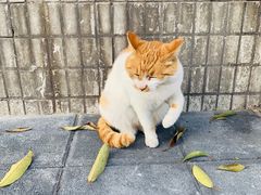 -新达口腔(华东理工大学店)