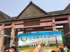 -上海都市菜园