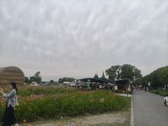 -嘉北郊野公园