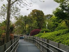 -福道
