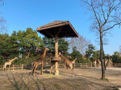 -上海野生动物园