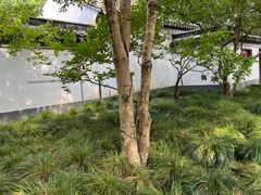 -秋霞圃