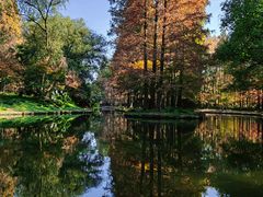 -上海共青森林公园