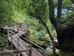 -碧峰峡风景区