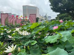 -龙环葡韵住宅式博物馆