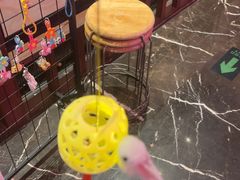 -西郊八号·山野江西菜(开发区店)