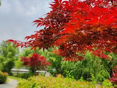 -同济大学(嘉定校区)