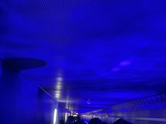 -白鹤梁水下博物馆