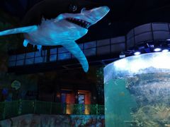 -青岛嘉年华主题乐园