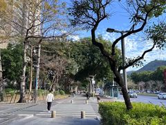 -白石龙音乐公园