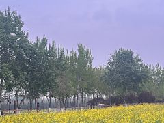 -汉长安城未央宫国家考古遗址公园