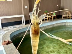 -光头佬室内钓虾场·烧烤·团建·亲子(中山八路店)
