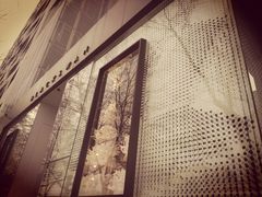 -BLACKSWAN黑天鹅(环球店)