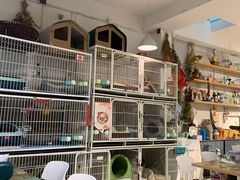 -小时光咖啡馆(北锣鼓巷店)