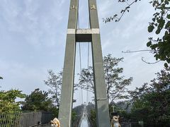 -南丹山森林王国