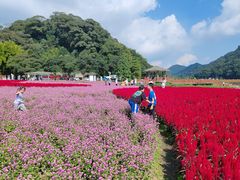 -广州市石门国家森林公园