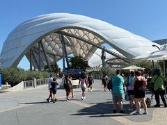 -奥兰多迪士尼动物王国乐园