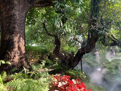 -Chom Cafe and Restaurant