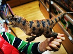 -百新书局(尚悦湾店)