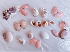 -ChanDu躔度咖啡(灯塔店)