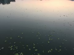 -江南大学(蠡湖校区)