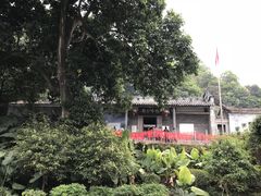 -广州市帽峰山景区