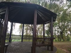 -泗洪洪泽湖湿地景区