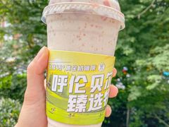 -茉酸奶(春熙路店)