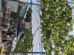 -金谷域澳洲庄园