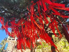 -泰山风景名胜区