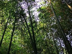 -竹泉村旅游度假区