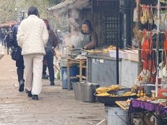 -雅安上里古镇
