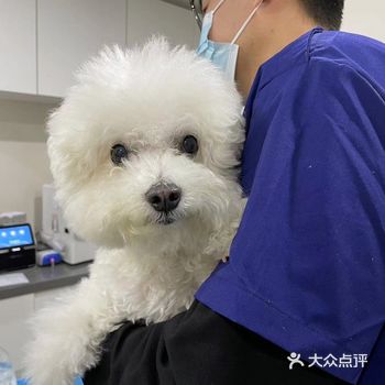 之前一直去的他家珠江帝景那边的店,然后在离家更近的这