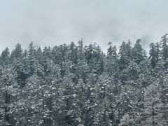 -海螺沟风景区