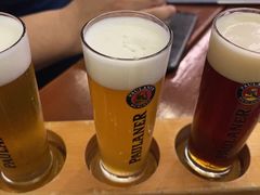 -Paulaner·德国帕拉娜自酿啤酒餐厅(海上世界店)