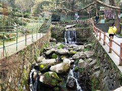 -藏龙百瀑风景区