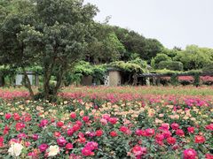 -龙寺生态园