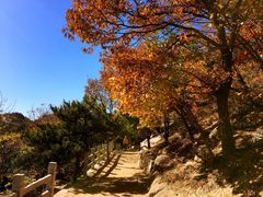 -天津盘山风景名胜区