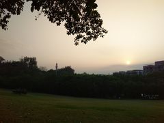 -广州雕塑公园