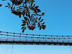 -崂山巨峰游览区